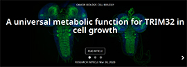 Banner from eLife