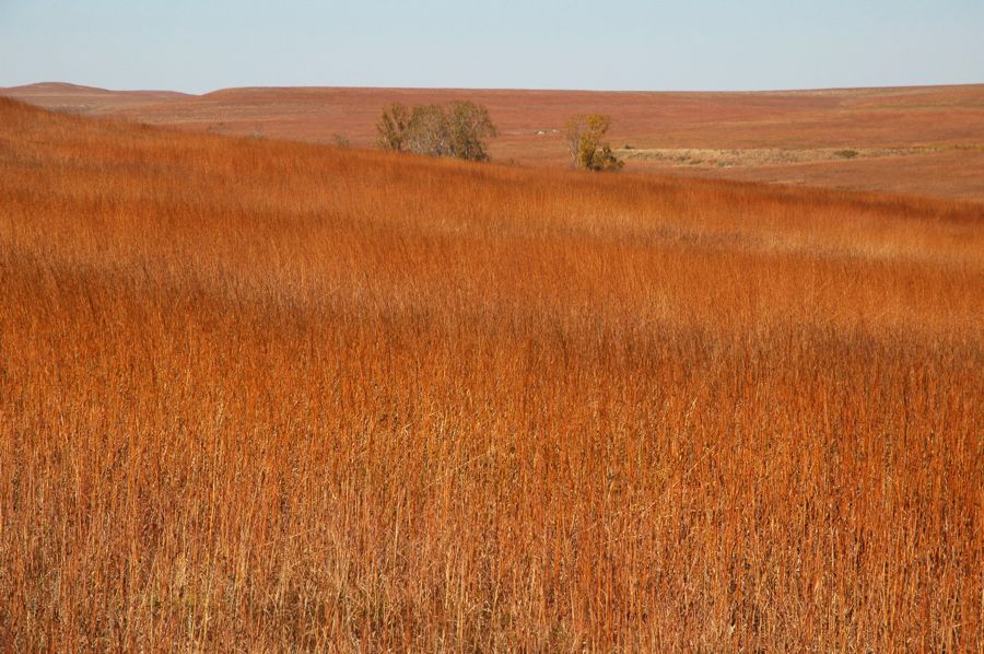 Tallgrass National Reserve