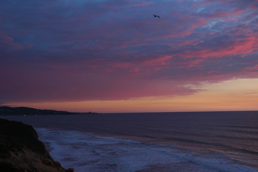 La Jolla shore