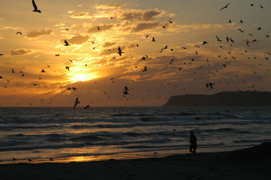 Coronado Beach