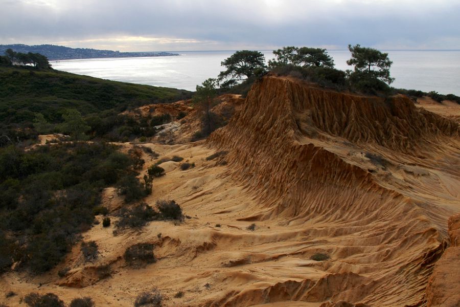 Torrey Pine SP