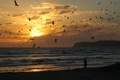 Coronado Beach