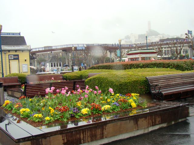 Too rainy for attending talks
