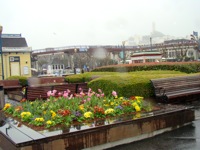 Too rainy for attending talks