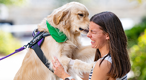 Oakley the Therapy Dog sniffs a student.
