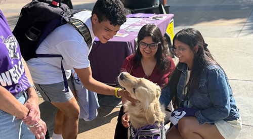 A group of students shower Oakley with pets.