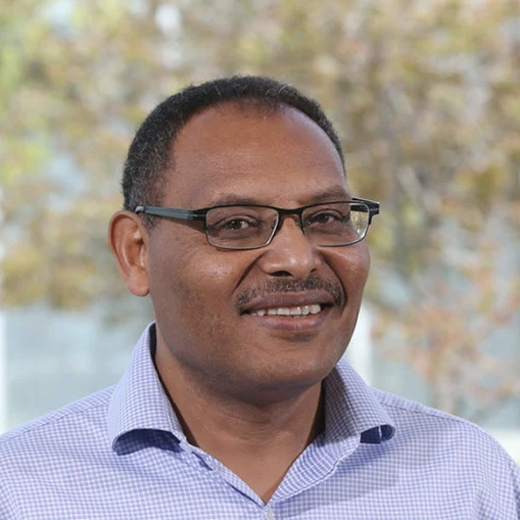 Tesfaye Mengiste, PI