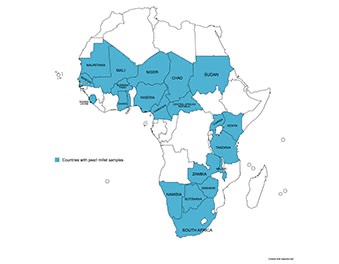 Pearl millet accessions map
