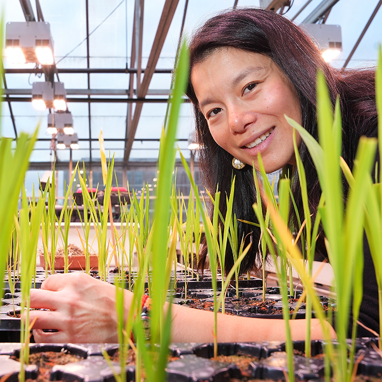 Diane Wang, PI