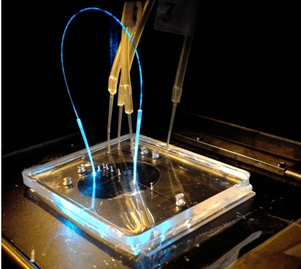 Microfluidic device with Fiber Jumper
