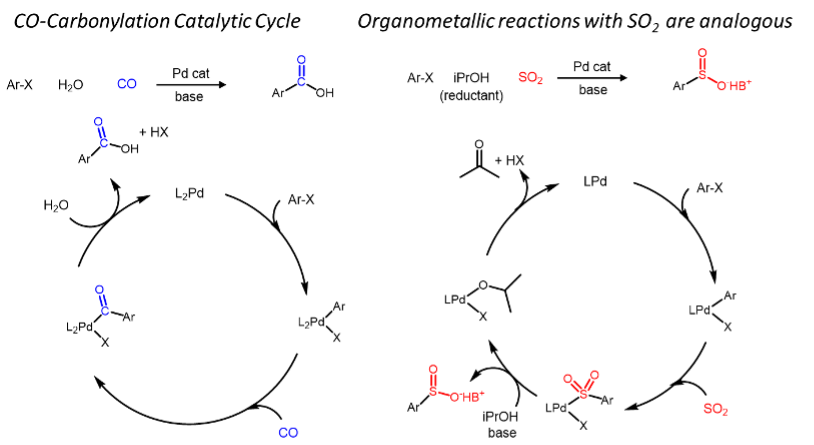 Carbonylation 
