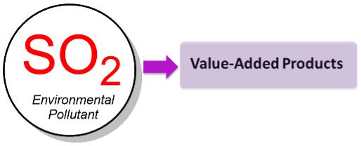 SO2 pic
