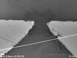 ZnO nanowires bridging two microelectrodes