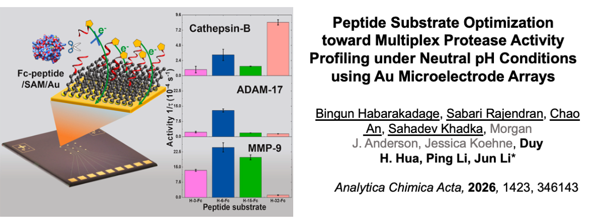 Li Publication 3