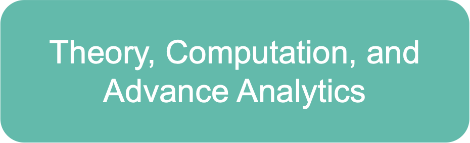 Theory, Computation, and Advance Analytics