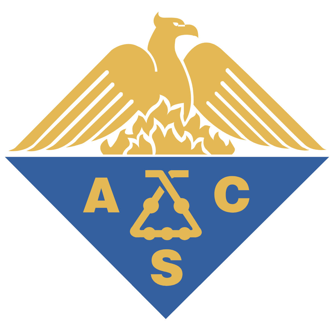 ACS Logo