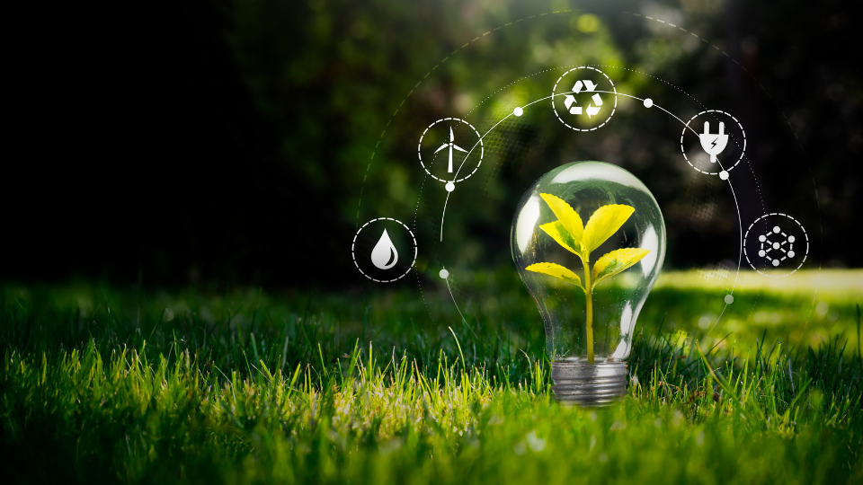 lightbulb with a plant inside on green grass with symbols to represent clean energy and sustainability around the lightbulb