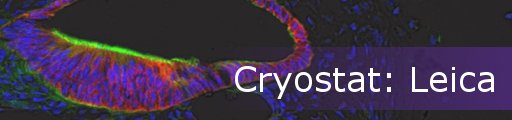 Cryostat: Leica