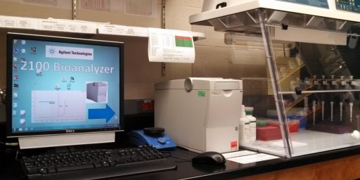 BioAnalyzer