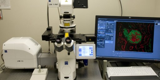 Confocal Zeiss 700 Instrument