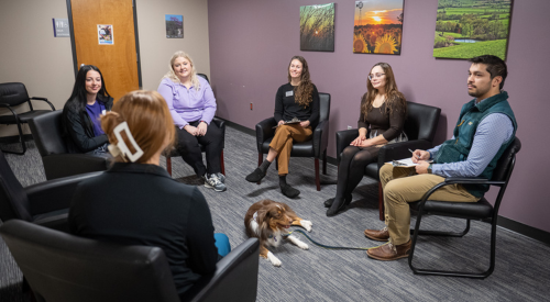 Students and therapists in group therapy