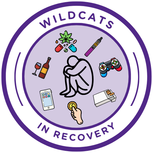An emblem-style logo for "WILDCATS IN RECOVERY" featuring a central outline of a person sitting in distress, surrounded by icons for alcohol, drugs, vaping, gaming, smoking, spending, and phone use.
