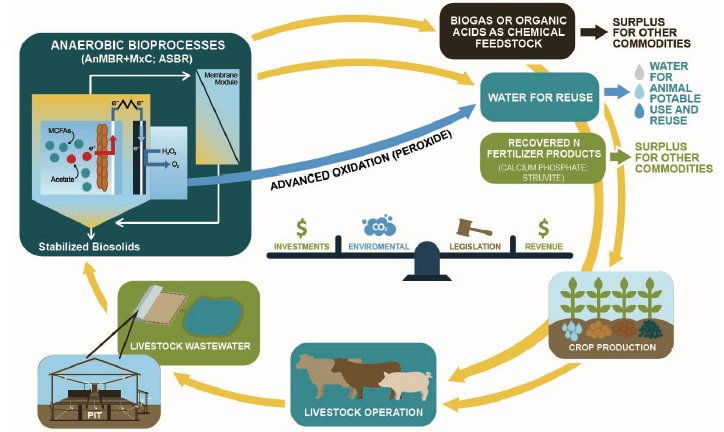 Graphic demonstrates the project team’s approach to a circular bioeconomy