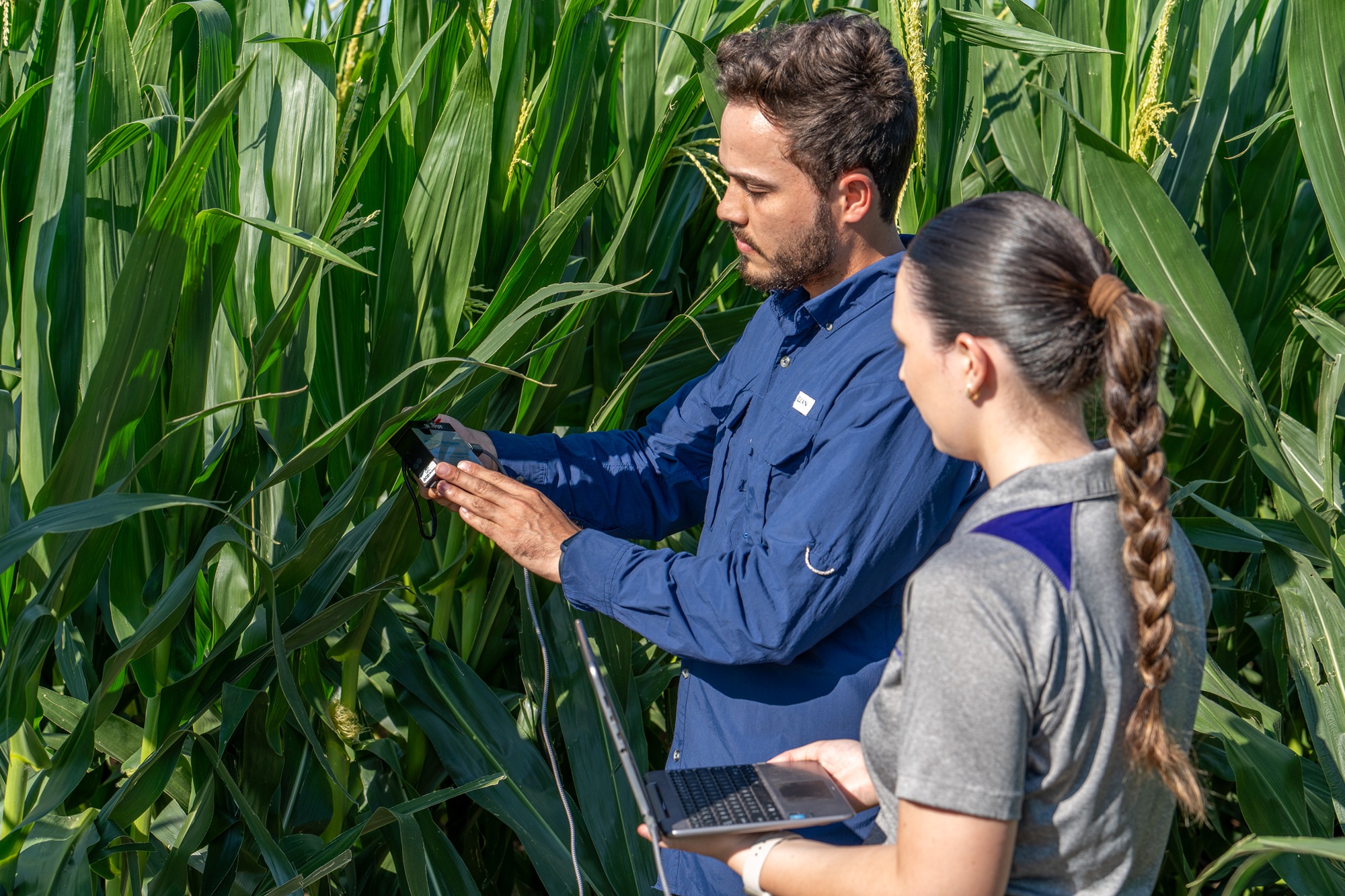 Researchers in a field