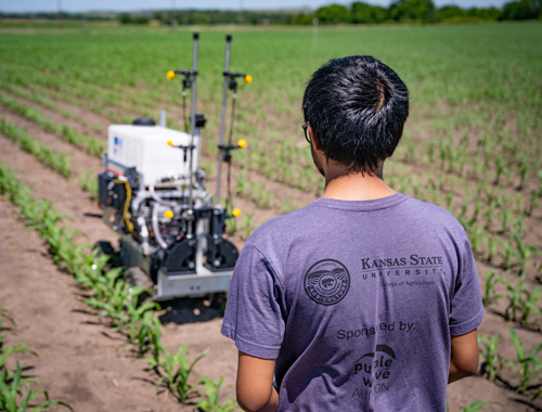 Agriculture robot in field An ag robot roams a field.