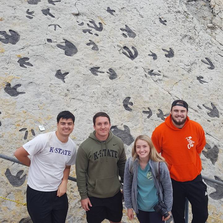 Dinosaur Ridge