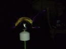 Banana on Tesla Coil