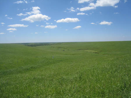 1D looking south