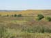 4B lowland and eddy flux tower