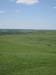 tower transect