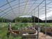 Jeff and meso facility