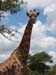 how tall are you