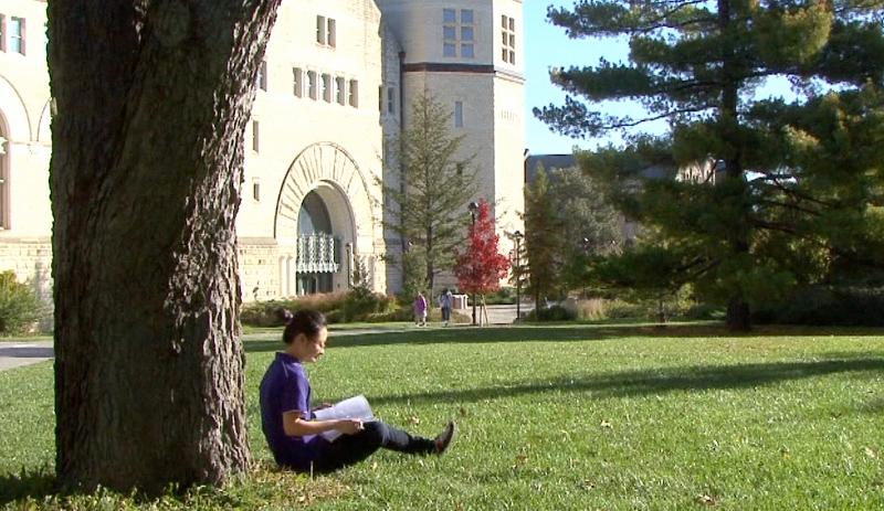 A student studying outside