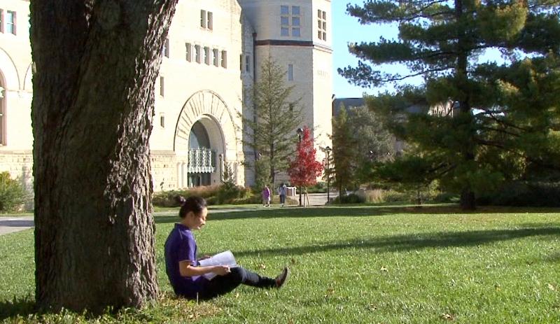 Studying under a tree