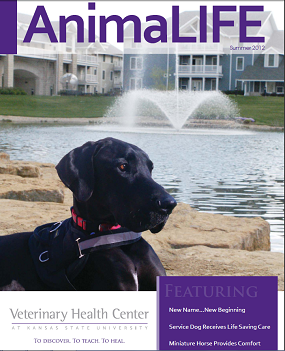 Vet Health Center Image