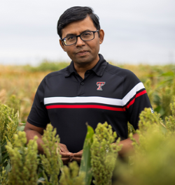 Krishna Jagadish, Lead, Technical Aim