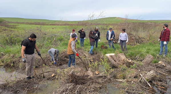 a group of students work on a project on the prairie