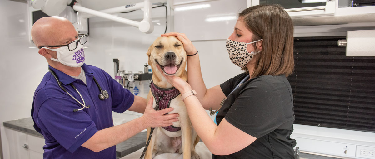 Brad Crauer, left, clinical associate professor and director of the shelter medicine program, works with student Hayley Barkoviak on the Shelter Medicine Mobile Surgery Unit.