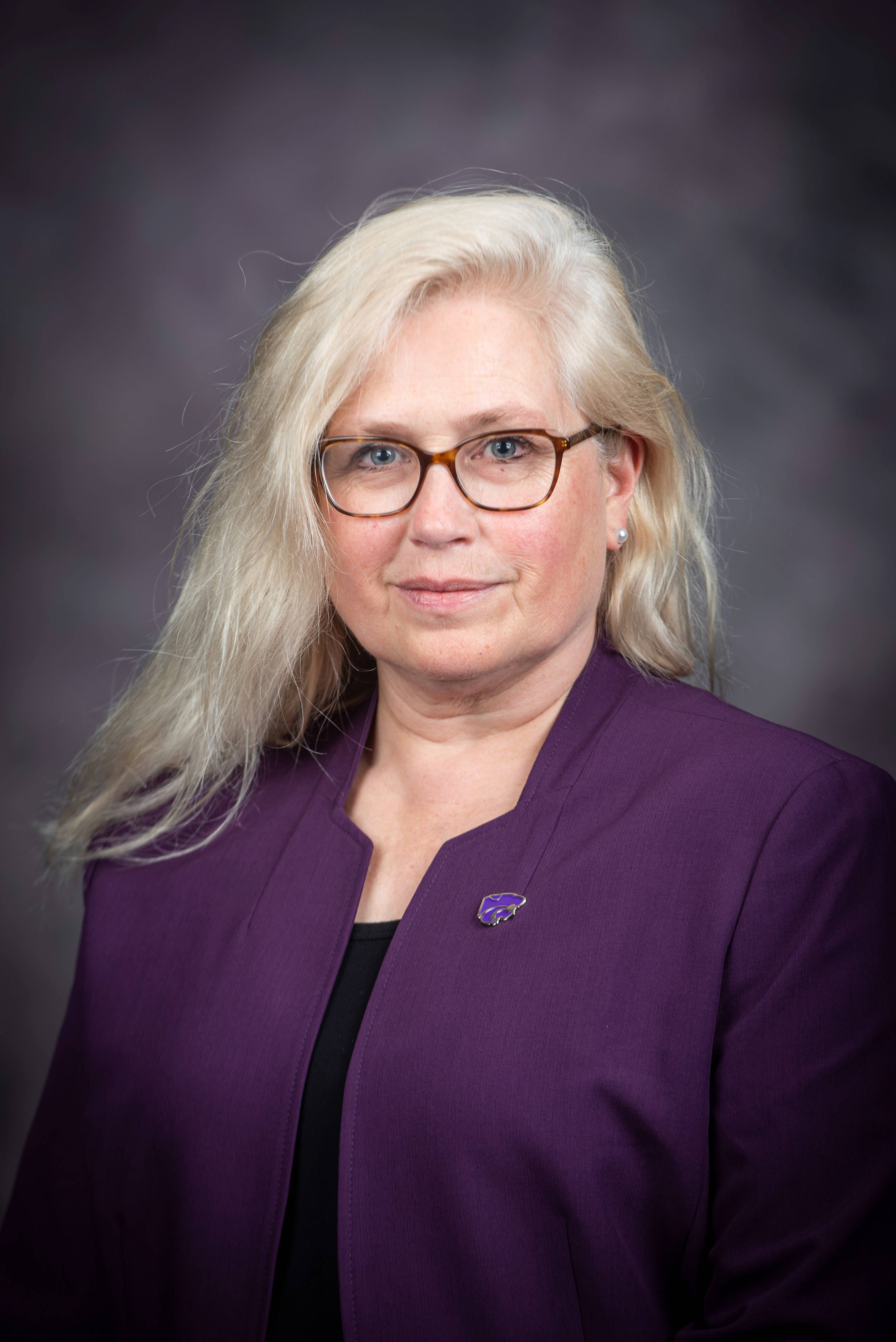 lisa johnson