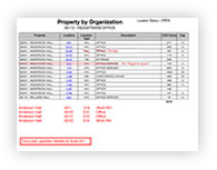 Spreadsheet survey example