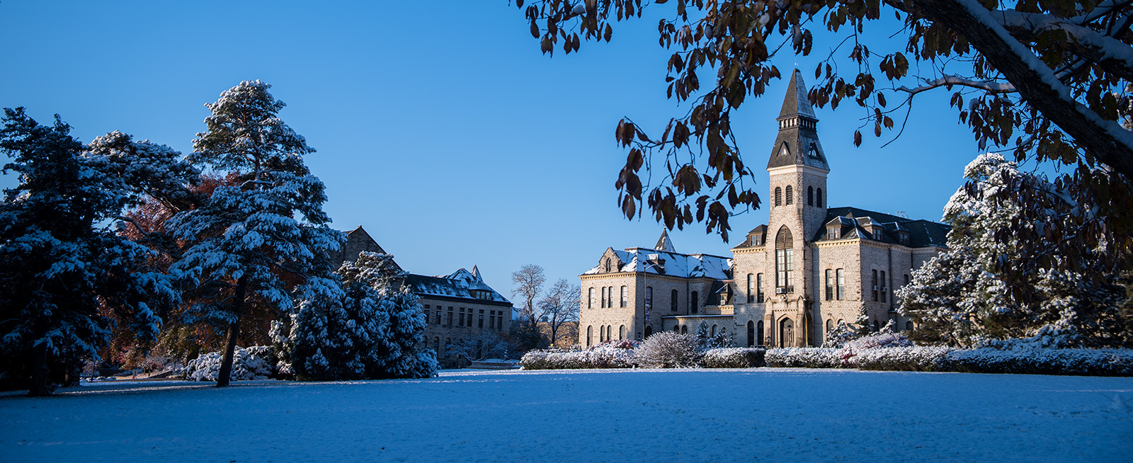 Anderson Hall in winter, snow covering the branches around the building