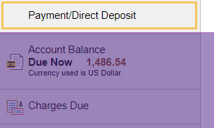 Payment/Direct Deposit panel