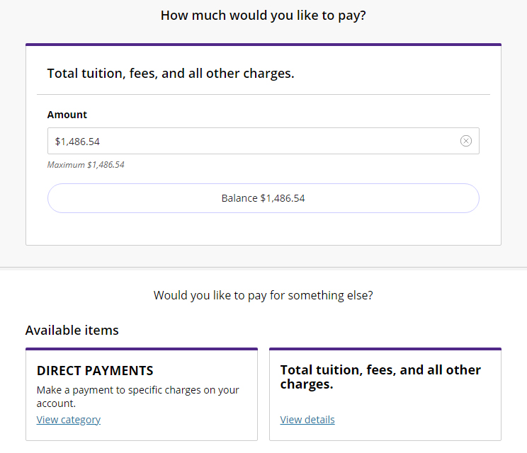 A menu that asks How Much Would You Like to Pay? It shows a full tuition amount and two menu options below for Direct Payments or Total Tuition
