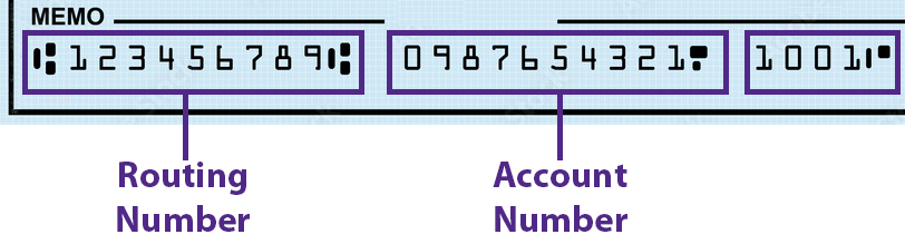 check stub with routing number noted