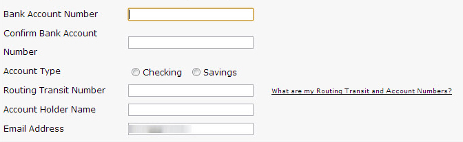 electronic check information fields