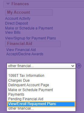 the View/Enroll in Repayment plan drop down